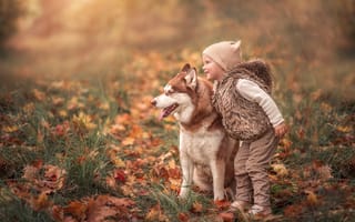 Обои осень, Марта Козел, друзья, девочка, собака, хаски, опавшие листья
