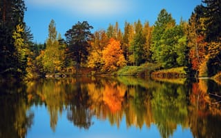 Картинка осень, лес, отражение, Финляндия, деревья, река, Finland, Река Мустийоки