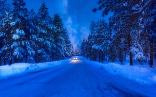 Картинка зима, дорога, снег, авто, лес, Канада, деревья, машина