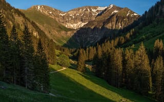 Картинка лес, солнце, деревья, горы, Альпы, Бавария, тропа, Германия