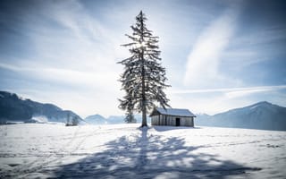 Картинка зима, снег, Zugerberg, Switzerland, сарай, дерево, Alps, Швейцария, ель, следы, Альпы, горы