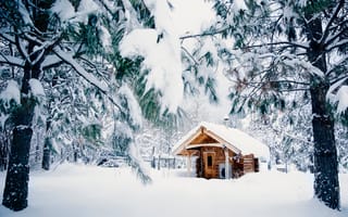 Обои Природа, Зима, Домик, Снежные деревья, Winter, Winter forest, Nature, Snow trees, House, Снег, Зимний лес, Snow