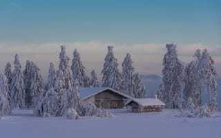 Картинка зима, снег, ели, сарай, деревья, пейзаж, природа, дом
