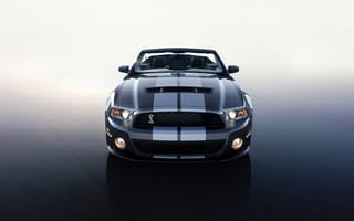 Картинка 2010, Shelby, GT 500, Ford