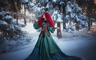 Картинка зима, птица, деревья, снег, лес, платье, фонарь, природа, снеГирь, девушка, Александра Шимолина