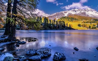Картинка осень, деревья, Palpuognasee, озеро, Швейцария, Alps, Albula Pass, Lai da Palpuogna, Switzerland, Перевал Альбула, горы, Альпы, Озеро Пальпуогна