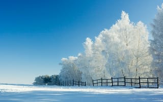 Картинка забор, снег, зима, деревья