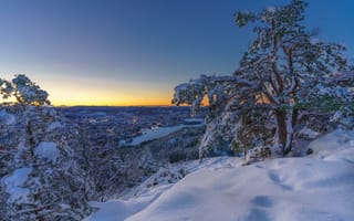 Картинка зима, снег, сосна, сугробы, рассвет, утро, деревья, озеро