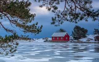 Картинка зима, ветки, лёд, замёрзшее, дом, Гримстад, Grimstad, Норвегия, сосна, озеро, Norway