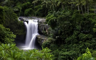 Картинка деревья, природа, Tegenungan Waterfall, пальмы, остров Бали, Индонезия, водопад