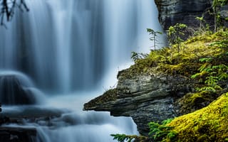 Картинка скала, водопад, поток, мох, Canada, Альберта, Канада, Alberta