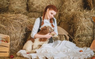 Картинка девушка, рыжая, овечка, барашек, ягнёнок, Диана Липкина, рыжеволосая, улыбка, сено, косы