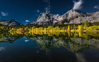 Картинка осень, лес, Wedge Pond, Альберта, Alberta, Canada, озеро, Канадские Скалистые горы, Пруд Ведж, Canadian Rockies, горы, отражение, Канада