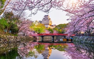 Картинка парк, весна, cherry, spring, sakura, Himeji, park, castle, сакура, blossom, Япония, Japan, цветение