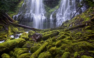 Картинка скала, камни, брёвна, Oregon, мох, Водопады Прокси, Proxy Falls, Орегон, водопад, каскад