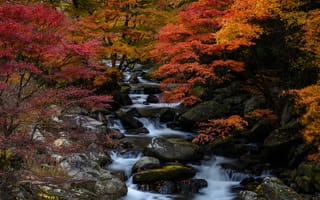 Картинка осень, лес, Япония, каскад, деревья, камни, ручей