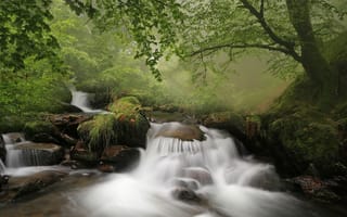 Картинка лес, ручей, речка, Испания, Spain, каскад, водопад, камни