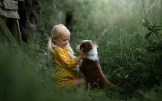 Картинка трава, собака, девочка, щенок, друзья