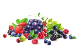 Картинка ягоды, малина, смородина, черника, белый, виноград, клубника, крыжовник, брусника, векторная графика