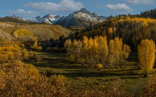 Картинка осень, лес, Колорадо, горы, деревья, San Juan Mountains, Горы Сан-Хуан, Colorado