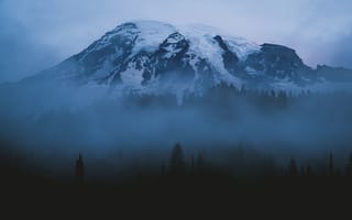Картинка лес, небо, вечер, гора, туман, природа, снег, деревья
