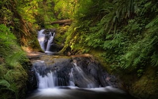 Обои лес, ручей, водопад, Штат Вашингтон, Ущелье реки Колумбия, Washington State, каскад, Дункан Крик, Columbia River Gorge, Duncan Creek