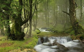 Картинка лес, деревья, Наварра, река, Navarre, Spain, водопад, Испания, каскад