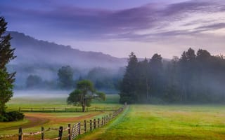 Картинка деревья, туман, луг, Pennsylvania, Пенсильвания, Ligonier, забор, утро, Лигонье, рассвет