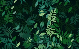 Картинка Листья, Растения, Plants, Green, Зеленый, Leaves