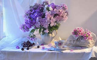 Картинка цветы, ягоды, чашка, занавеска, кувшин, тарелка, натюрморт, стол