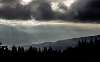 Картинка лес, небо, тучи, деревья, природа, горы