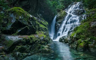 Картинка вода, деревья, водопад, Canada, Канада, природа, мох, скалы