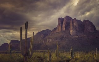 Картинка небо, облака, тучи, горы, скалы, кактусы, Superstition Mountains, Arizona, США, природа