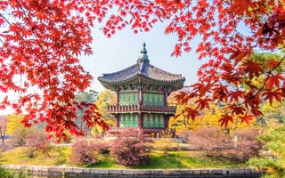 Картинка осень, листья, autumn, landscape, Корея, leaves, castle, Korea, colorful