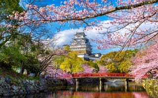 Картинка парк, весна, сакура, Japan, cherry, Himeji, sakura, Япония, castle, spring, blossom, park, цветение