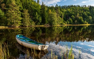 Картинка лес, озеро, Норвегия, лодка, отражение