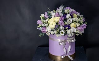 Картинка цветы, желтый, белые, тюльпаны, темный, розы, коробка, букет