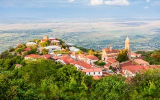 Картинка крыша, зелень, деревья, поле, город, небо, лето, вид