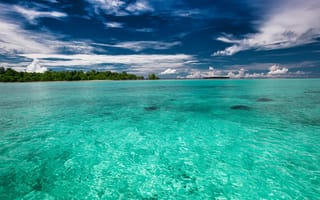 Картинка море, пляж, облака, вода, тропики, небо, деревья, синева