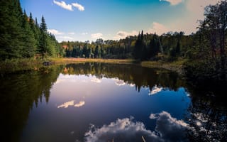 Картинка облака, ели, отражение в воде, clouds, just, blue sky, простор, голубое небо