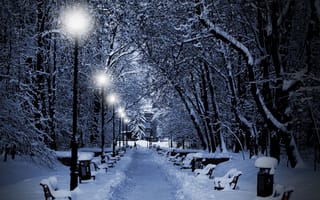 Обои зима, парк, лавочки, снег, вечер, огни, фонари, деревья