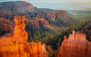 Картинка лес, горы, скалы, каньон