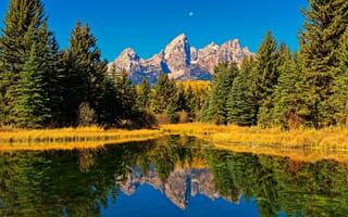 Картинка осень, лес, Wyoming, ели, Grand Teton National Park, Rocky Mountains, Snake River, Национальный парк Гранд-Титон, Река Снейк, горы, Скалистые горы, река, отражение, Вайоминг