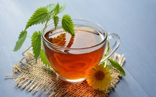 Картинка стекло, цветы, чашка, чай, стол, крапива, напиток, салфетка