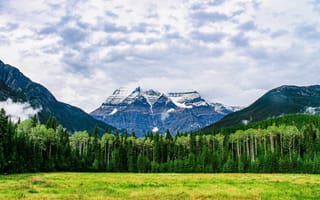 Картинка лето, облака, natural beauty, красота природы, опушка леса, clouds, summer, зеленый луг