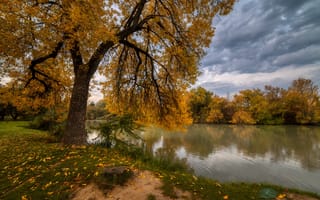 Картинка осень, лес, водоём, пейзаж, тучи, берега, природа, Александр Плеханов