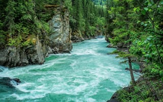 Картинка деревья, природа, trees, rocks, поток, stream, nature, скалы