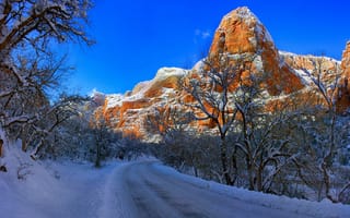Картинка зима, дорога, Zion National Park, горы, Юта, снег, деревья, Utah, Национальный парк Зайон