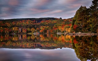Картинка осень, лес, отражение, Канада, Ontario, Canada, озеро, Онтарио