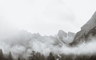 Картинка деревья, туман, river, вершины гор, trees, Eberhard Grossgasteiger, fog, река